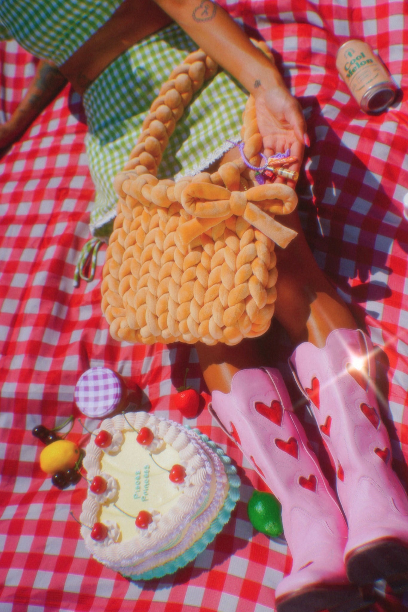 Picnic Basket Bag